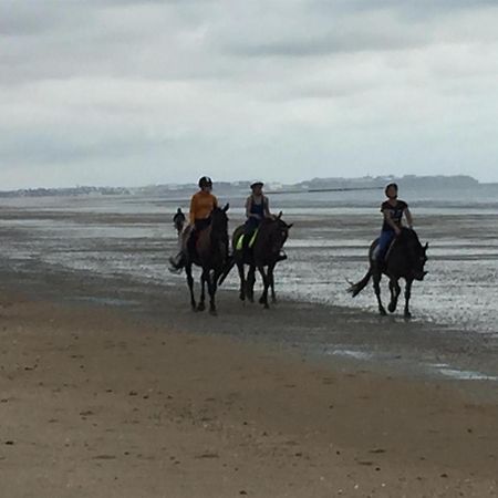 Decouverte D'Un Haras Proche Du Mont St Michel Hambye Dış mekan fotoğraf