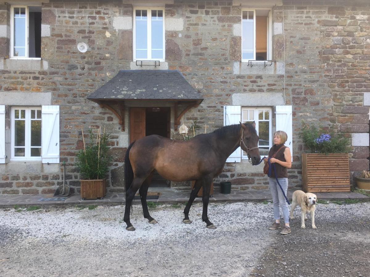 Decouverte D'Un Haras Proche Du Mont St Michel Hambye Dış mekan fotoğraf