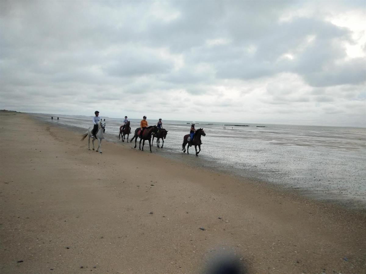 Decouverte D'Un Haras Proche Du Mont St Michel Hambye Dış mekan fotoğraf