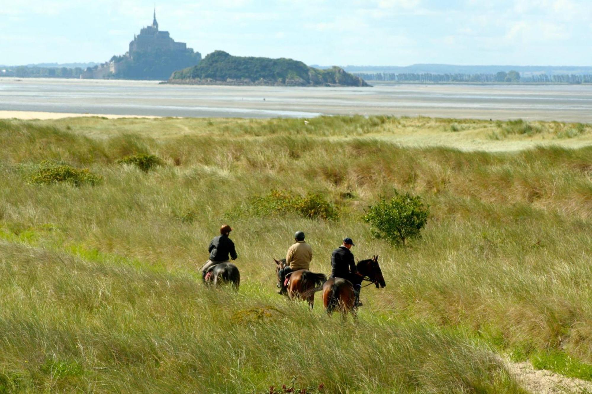 Decouverte D'Un Haras Proche Du Mont St Michel Hambye Dış mekan fotoğraf