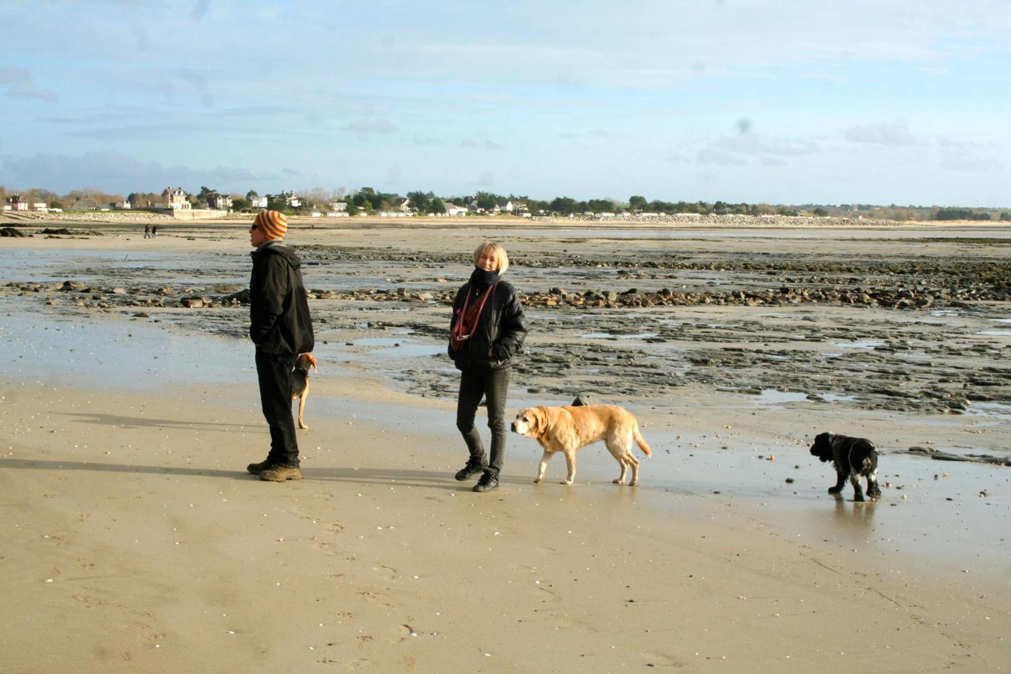 Decouverte D'Un Haras Proche Du Mont St Michel Hambye Dış mekan fotoğraf