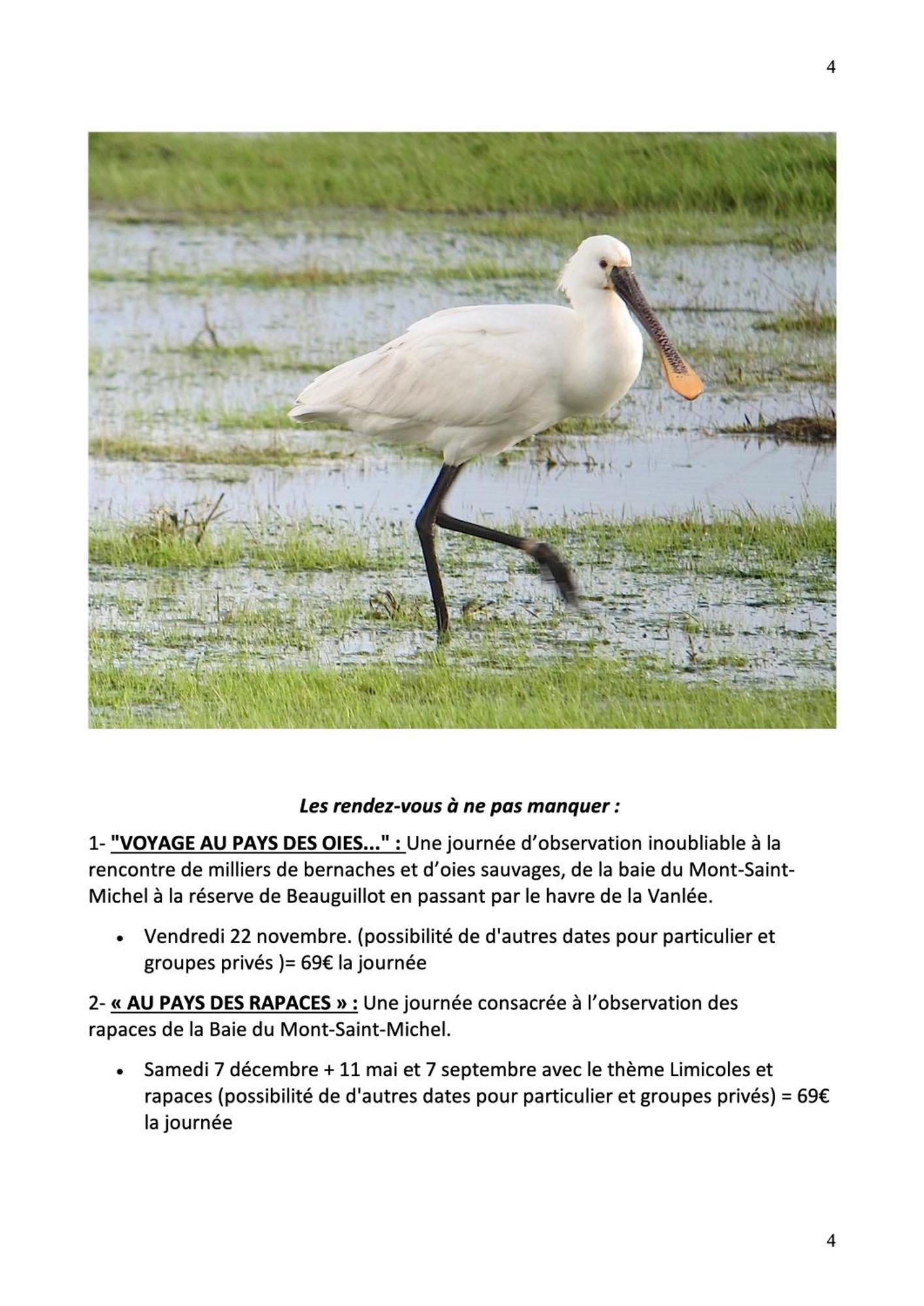 Decouverte D'Un Haras Proche Du Mont St Michel Hambye Dış mekan fotoğraf